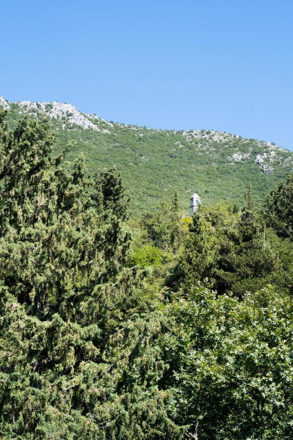 La Olga Apartment Lefkada Sívros Buitenkant foto